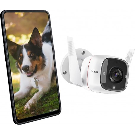 TP-Link TC65 Caméra de Surveillance