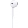 APPLE Ecouteurs Lightning Origine MMTN2ZM/A