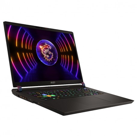 MSI Vector GP78 HX (13VH-013FR)17" QHD+ 240 Hz - Intel Core i7-13700HX - GeForce RTX 4080 - 32 Go DDR5 - SSD 1 To