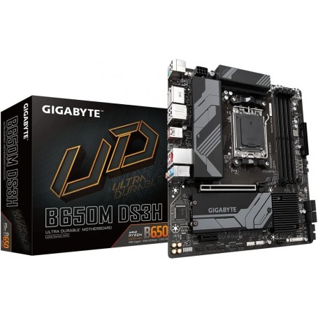 Gigabyte B650M DS3H - Carte mère