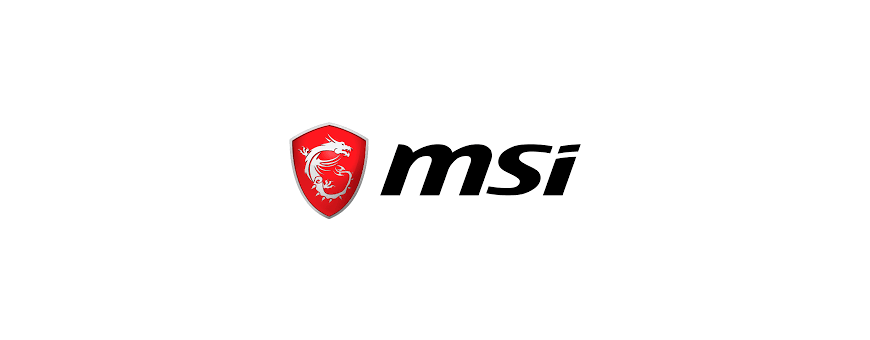 Chargeur MSI